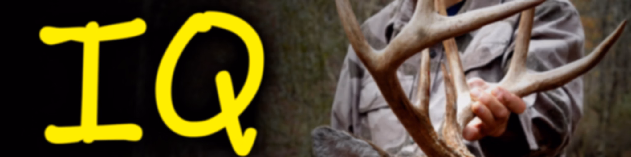 Deer IQ