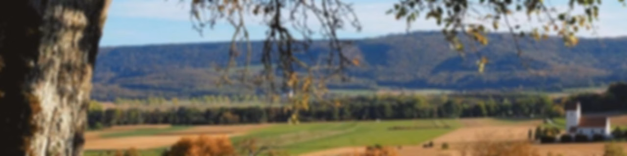 Sundgau Vox