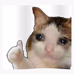 soydelitzandys