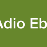 RAdio Ebay