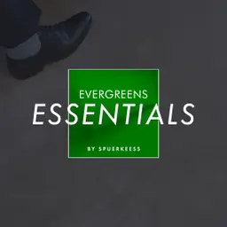 Essentials - Energy Coachen
