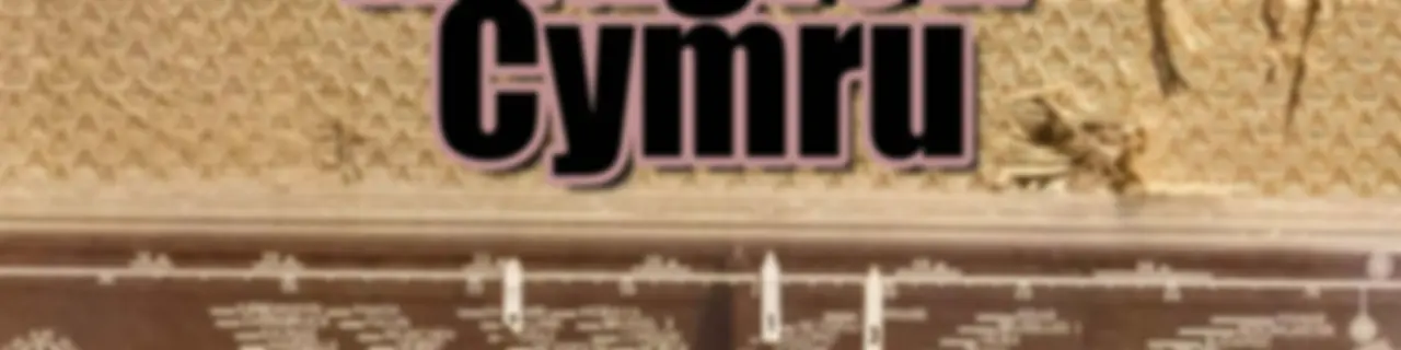 Rhaglen Cymru