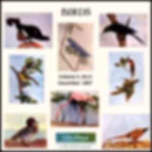 Birds, Vol. II, No 6, December 1897 by Various