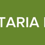 LA RADIO CUMUNITARIA DEL COMANDANTE