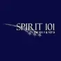 Spirit 101 - WWPN