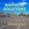 Paving Paradise: The Heat Island Effect & High Cost of Underutilized Asphalt