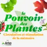 Circulation et stimulation de la mémoire