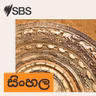 හඳහාමි සිට රම්‍ය සඳ කිරණ තෙක් අප ජීවන චාරිකාවේ ළබැඳියක වූ ආචාර්ය නන්දා මාලිනිය