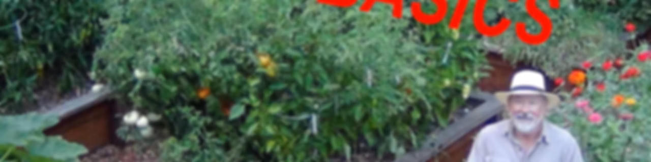 Beyond the Garden Basics