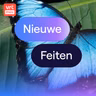 Nieuw onderzoek toont aan hoe slim vlinders echt zijn