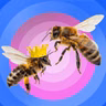 Bienen – Summt die Honigbiene auch im Dirndl? (10/12)