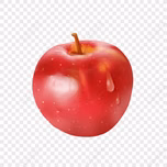 Testing