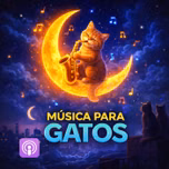 Música para Gatos