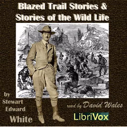 Blazed Trail Stories and Stories Of The Wild Life by Stewart Edward White (1873 - 1946)