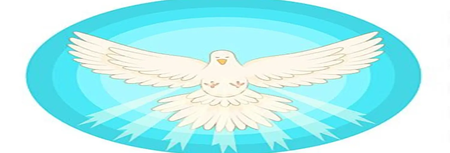 Rádio Paz Divina