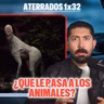 ALGO ESTÁ MAL CON LOS ANIMALES DE ESTE ZOOLOGICO