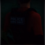 Division Anti-Gangs