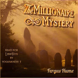 Millionaire Mystery