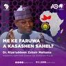 ME KE FARUWA A KASASHEN SAHEL (NIGER, MALI DA BIRKINA FASO) | DR. RIYA'UDDEN ZUBAIR MAITAMA