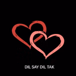 Dil say Dil tak