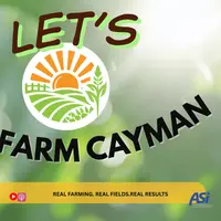 Let's Farm Cayman