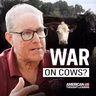 America’s Beef Shortage Explained | Joel Salatin