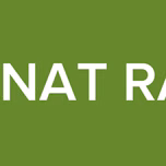 1000NAT RADIO