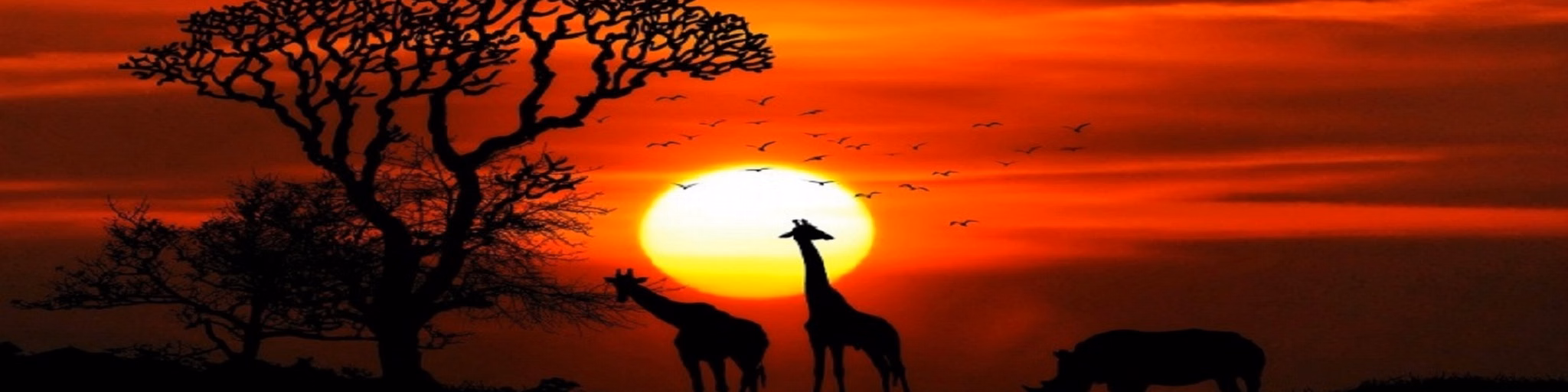 Wolf Country Radio