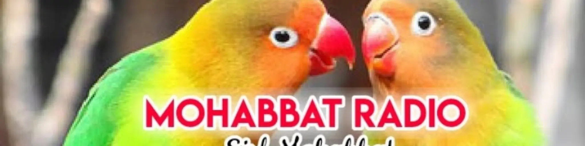 Mohabbat Radio