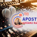 APOSTLE AMOAKO RADIO