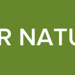 ASMR NATURAL