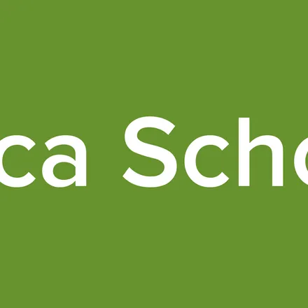 Luca School