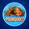 Culture G-Pourquoi les castors construisent-ils des barrages ? 🦫
