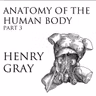 50 - Lymphatic Vessels of the Thorax