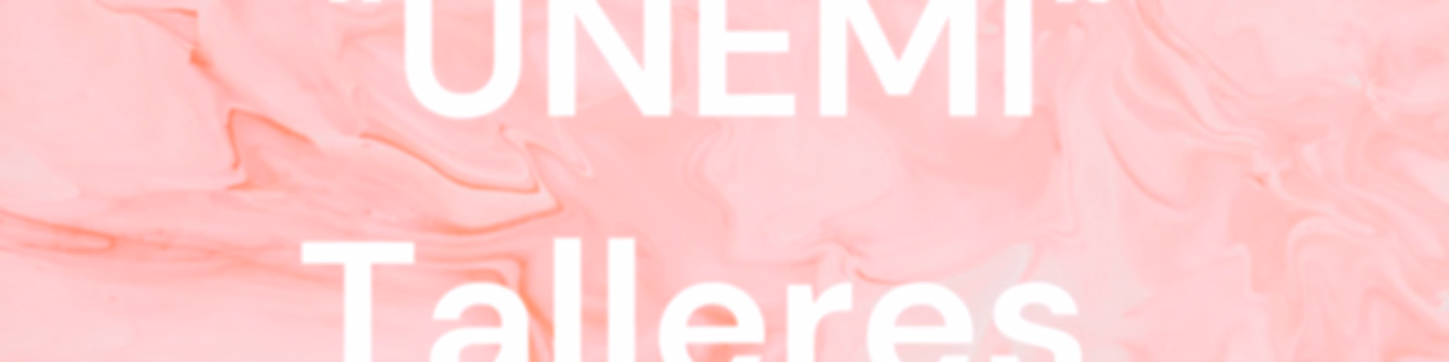 "UNEMI" Talleres