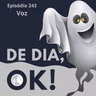 #243. Voz