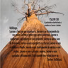 Salmo 144