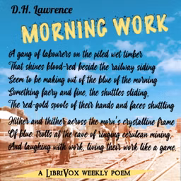 Morning Work