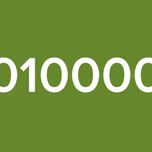010000