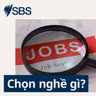 Làm việc tại NGO: Công việc thực tế, ngành học và kỹ năng cần có