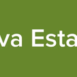 Nueva Estacion