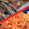 Meat Processor Accused of Dumping Animal Blood, Waste Into Nearby Waters