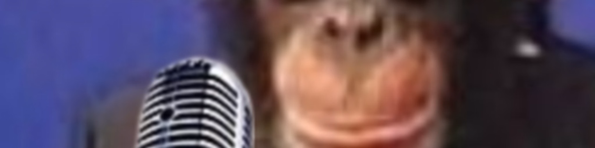 Macacos Modernos