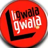 #Imphunga - Likhomishana lemalungelo eluntfu beliphenya tikhalo letitsintsa sibhedlela iRob Ferreira