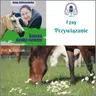 #219 Przywiązanie