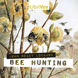 Bee Hunting by John Ready Lockard (1858 - 1925)