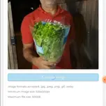 Crismj