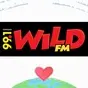 99.1 Wild FM - DXRT