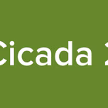 Cicada 2