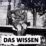 Vom Häftling zum Diktator – Adolf Hitler von 1925 bis 1933